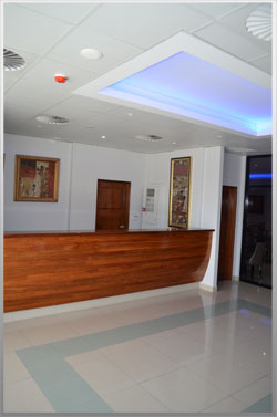 Welcome to Paddy's Hotel