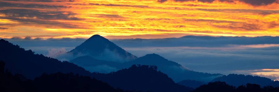 &copy;Rocky Roe Photographics